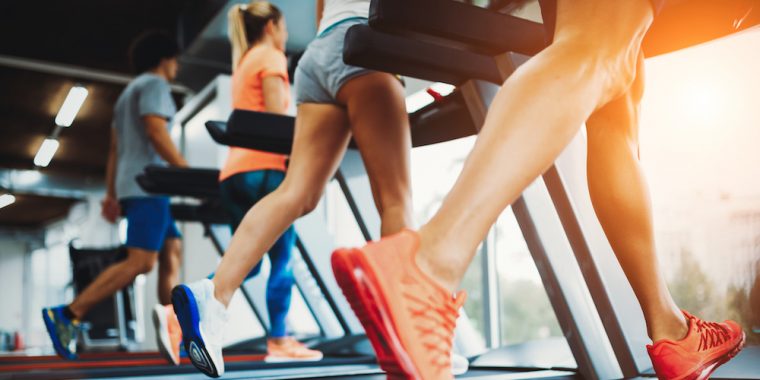 gym fitness insurance North Ft. Myers, FL