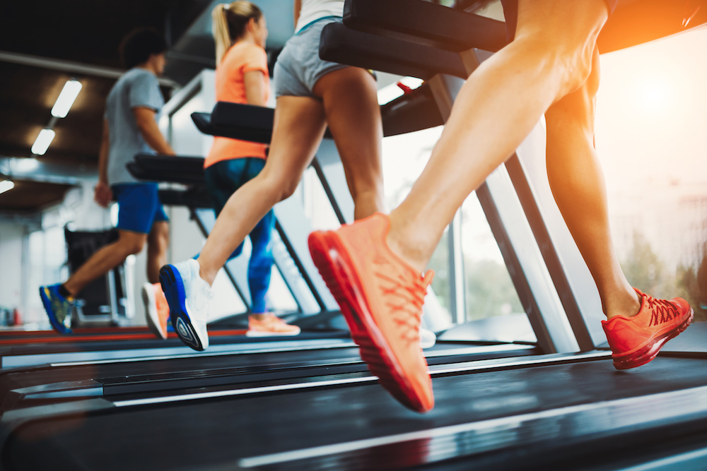 gym fitness insurance North Ft. Myers, FL