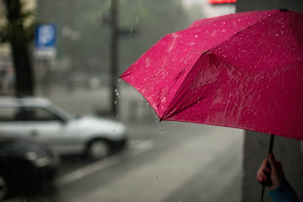 umbrella insurance North Ft. Myers, FL