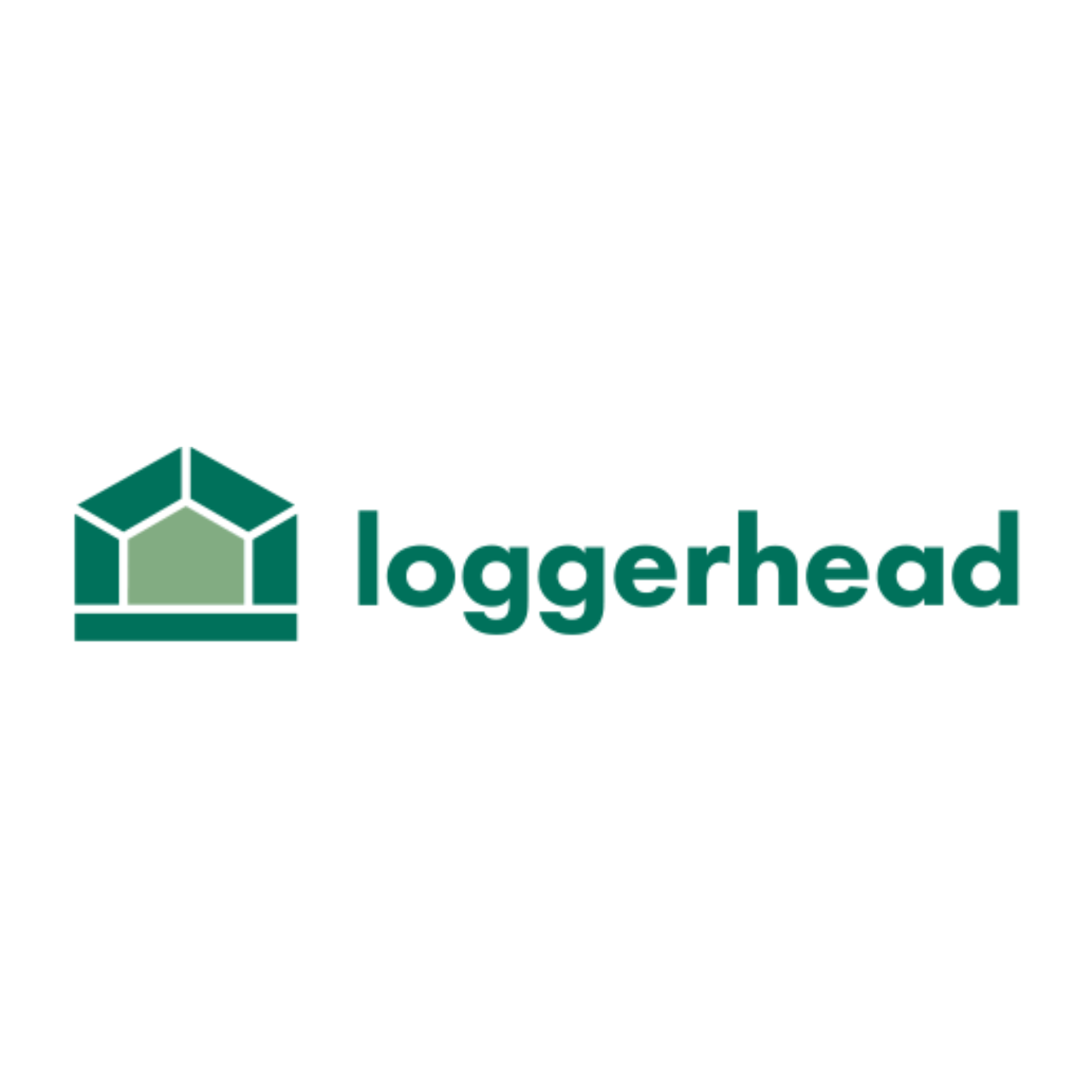 Loggerhead (1)
