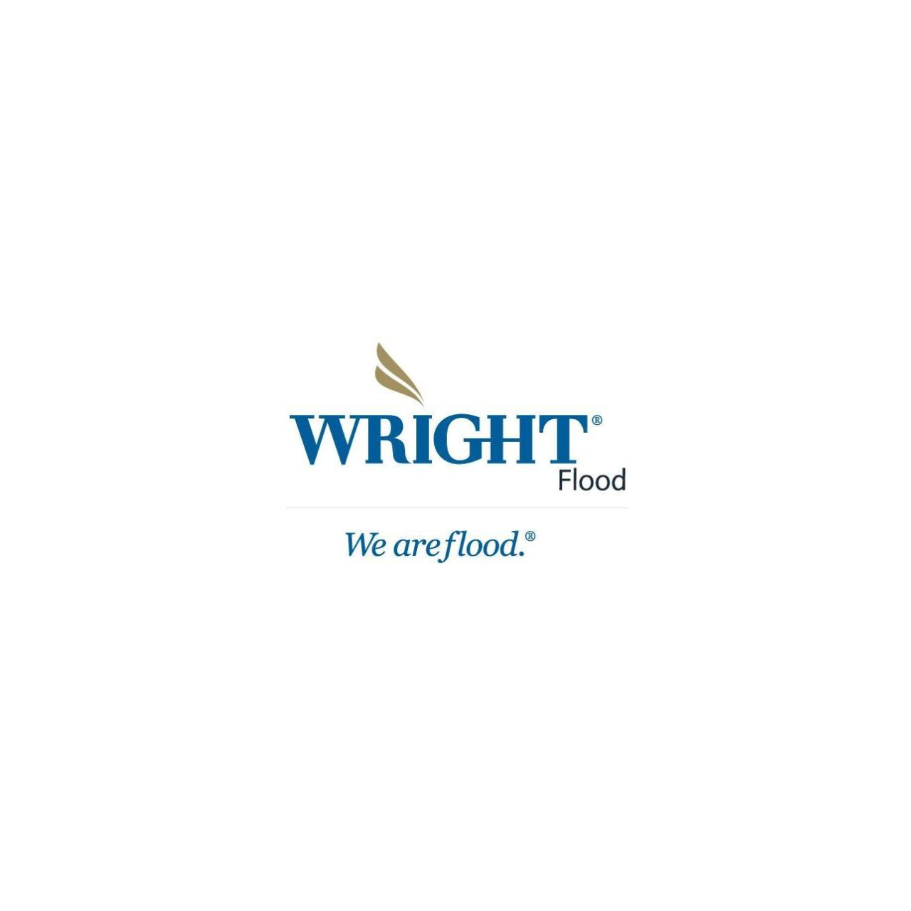 Wright (1)